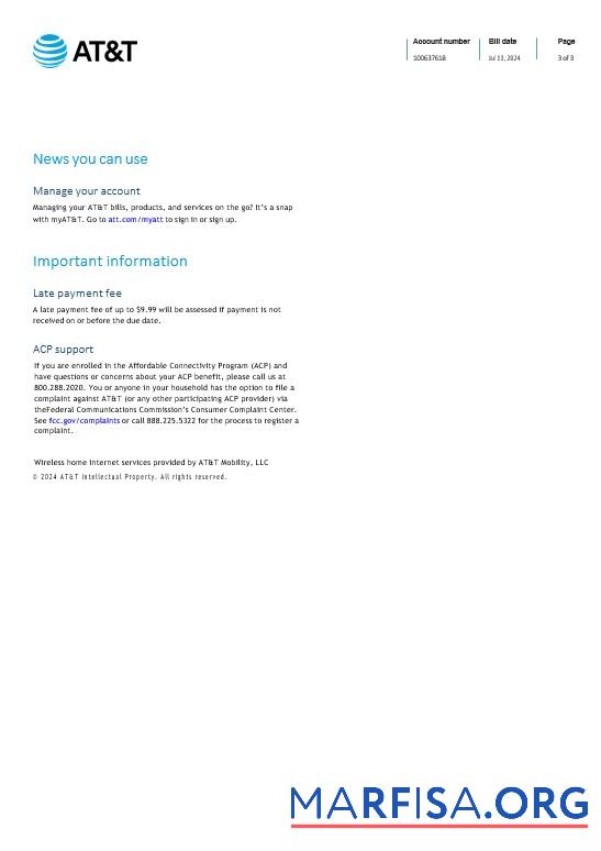 Printable Saint Lucia internet business utility bill Word and PDF template, 3 page